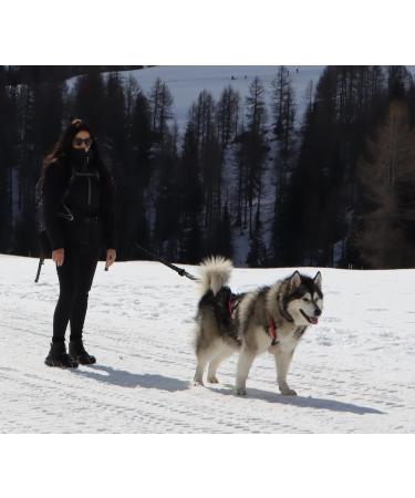 LASALINE Dog Harness X Back - Canicross Dogscooter & Bikejoring for Large Dogs - Black & Light Blue XXXXL - Buy Online on GoSupps.com