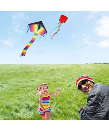 Homdipoo Rainbow Octopus Kite 2-Pack for Kids and Adults - Easy-to-Fly Kites with Handles and 300ft String - Outdoor Beach Kite in Multicolor (MUL+Blue) - Buy Online on GoSupps.com