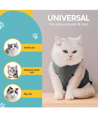 Avont Katzenbody Recovery Suit for Cats | Post-Op Castration Weaning & Skin Disease Protection - Dark Gray - Buy Online on GoSupps.com