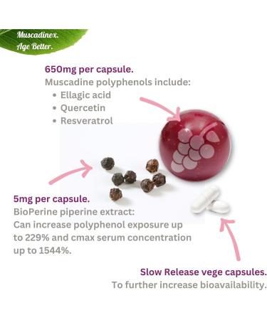USA Muscadine Quercetin, Ellagic Acid, Resveratrol, Myricetin, Kaempferol & BioPerine - Time Release Capsules for Extra Bioavailability - Vegan - Non GMO - Gluten Free - Made in USA - Buy Online on GoSupps.com