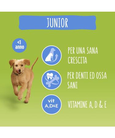 Purina Friskies Junior Dog Food with Chicken Vegetables and Milk 6 Cans of 1.5 kg - Buy Online on GoSupps.com