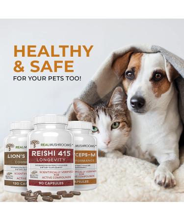 Real Mushrooms Brain Vitality & Immune Support Bundle - Lion's Mane, Reishi, Cordyceps - 330 Capsules - Buy Online on GoSupps.com