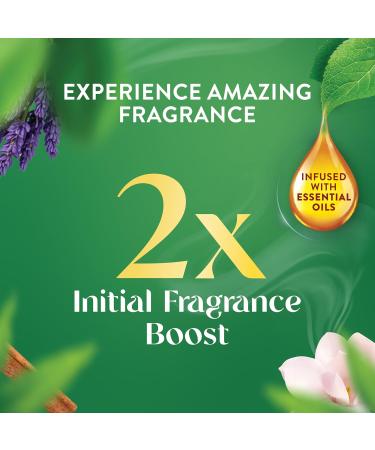 AIR WICK Essential Mist Twin Refill White Sage & Mahogany (2x.67) oz. (Pack of 2) White Sage and Mahogany 1.34 Fl Oz (Pack of 2) - Buy Online on GoSupps.com