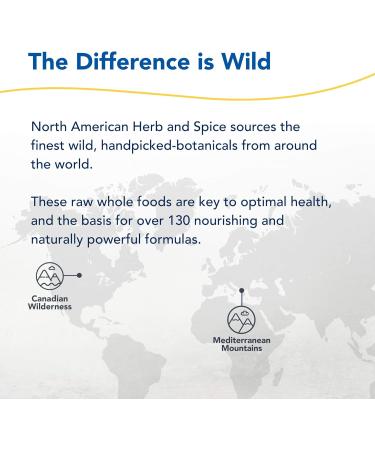 NORTH AMERICAN HERB & SPICE ChagaMax - 12 Vegi Capsules - Chaga Wild Mushroom Supplement - Adaptogen Adrenal Support Endurance & Stamina - Non-GMO - 90 Servings - Buy Online on GoSupps.com