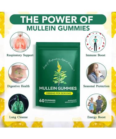 Mullein Gummies for Lung Cleanse 2000mg Mullein Leaf Extract for Respiratory & Digestive & Immune Support Natural Mullein Herbal Supplement for Mucus Relief with Chlorophyll (60 Gummies) 60 Count (Pack of 1) - Buy Online on GoSupps.com