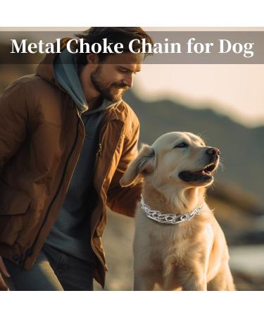 Metal Choke Chain for Dog Anti Bark Collars for Dogs Pet Outdoor Training Durable Thick Prong Collars Puppy Adjustable Silver Necklace for Dogs Daily Training (M) - Buy Online on GoSupps.com