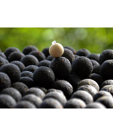 Tandem Baits Euro Boilies for Carp Fishing 16-22 mm 1-10 kg - Buy Online on GoSupps.com