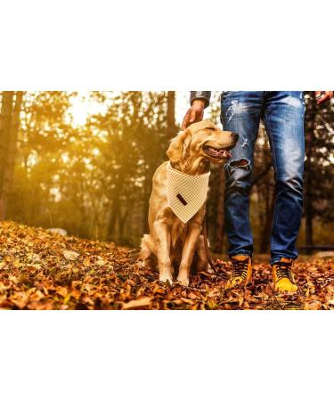 Lionet Paws Dog Bandana Headscarves - Triangle Scarf Yellow & White Checked LL | Stylish Pet Accessory for All Breeds - Buy Online on GoSupps.com