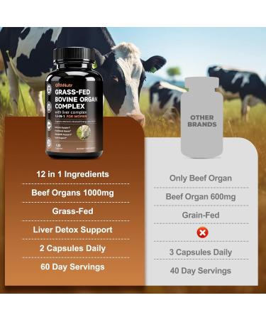 Beef Liver Capsules with Tudca - Beef Organ Supplement for Women Liver Kidney Heart Uterus Tissue Support Liver Health & Detox Energy Women s Health & Hormonal Balance Grass Fed Non-GMO - Buy Online on GoSupps.com