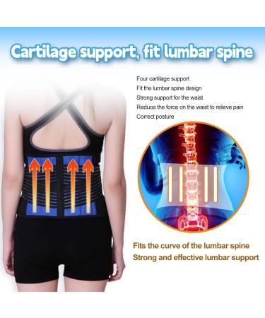 Buy S-6XL Lower Back Brace | Men & Women Waist Support Belt | Posture Corrector & Lumbar Protection | Spine Decompression & Pain Relief for Herniated Disc - Small Blue - Buy Online on GoSupps.com