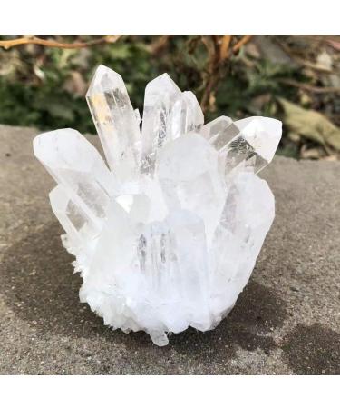 Natural Crystal Rough 1 Piece Natural Crystal Clear Quartz Cluster Free Form Stone Suitable for Furniture Decoration (Size : 300-400g) - Buy Online on GoSupps.com