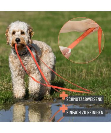 Reavet 5m Neon Orange Drag Line for Dogs | Robust Waterproof Leash with Padded Handle | Ideal Training Leash for Large & Small Dogs - Buy Online on GoSupps.com