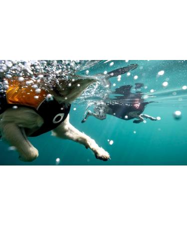 Stunt Puppy Float Dog Life Jacket - Red Medium | Premium Safety for Your Pet | Shop Now - Buy Online on GoSupps.com