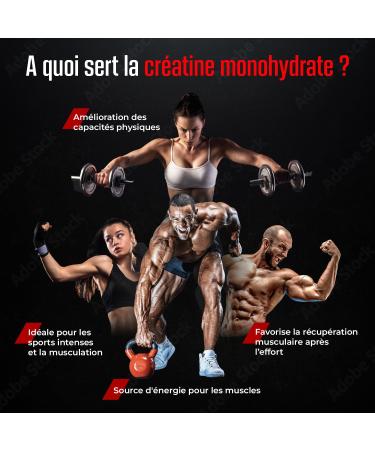 Creapure Creatine Monohydrate - 100% Pure - Performance and Muscle Recovery - Scientific Quality and French Expertise - 500 g - Nutrimea - Made in France - Buy Online on GoSupps.com