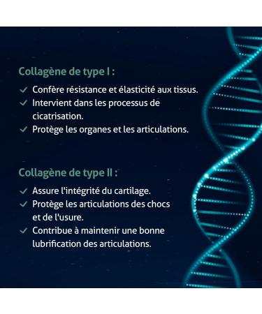 Blanc Bresson Marine Collagen Joint Flexibility and Bone Strengthening Patented Type 1 and 2 Marine Collagen Vitamins B3 C D and E 90 Capsules Made in France - Buy Online on GoSupps.com