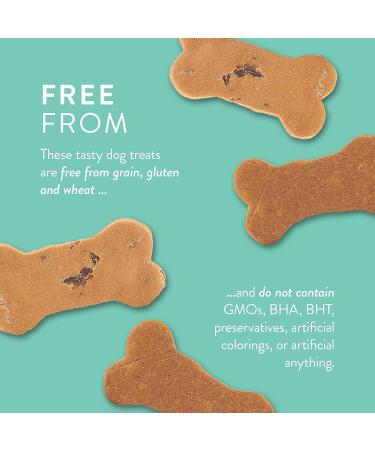 Portland Pet Food Co. Handcrafted All-Natural Grain-Free Dog Biscuits - USA Sourced, Gluten-Free, Human-Grade Pumpkin Treats (5 oz) - Buy Online on GoSupps.com