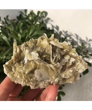 Crystal Natural Phlogopite Raw Quartz Crystal Cluster Stone Rough Reiki Specimen Home Decor Gift Suitable for Home Office Decoration Crystal Cluster (Size : 200-280g) - Buy Online on GoSupps.com
