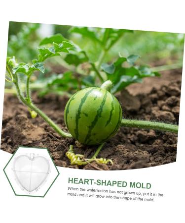 SUPVOX Heart Shaped Watermelon Molds Fruit Vegetable Mould Vegetable Forming Cucumber Shaper - Buy Online on GoSupps.com