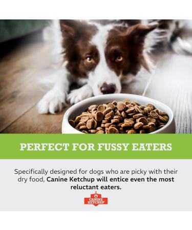 Canine Ketchup Peanut Flavor - Buy Online on GoSupps.com