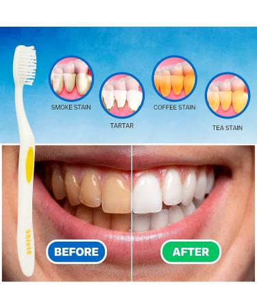 Shield Care Smokers Toothbrush - Expert Care Hard Bristles - Removes Stains - 4 Count - Buy Online on GoSupps.com