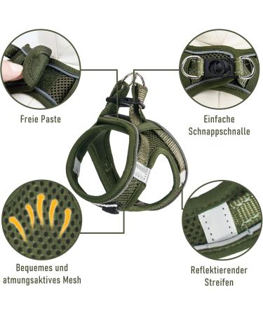 Buy UVTQSSP Olive Green Dog Harness for Small Dogs - Padded with Leash | Comfortable Puppy Harness - Buy Online on GoSupps.com