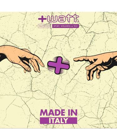 Watt Whey Protein 90 - Proteine del Siero del Latte Gusto Cacao 750g | Alta Qualit   Spedizione Internazionale - Buy Online on GoSupps.com