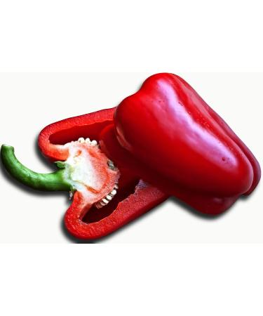 50 seeds - PEPPER "Sweet of Spain" - Capsicum annuum - Buy Online on GoSupps.com
