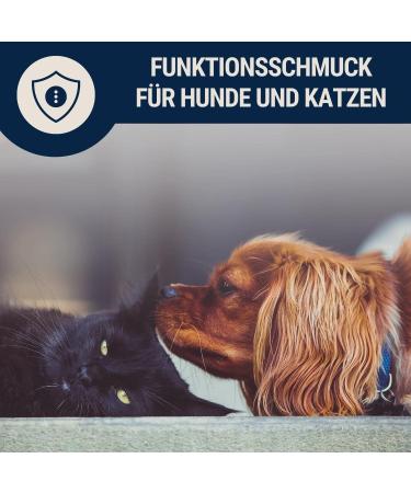 Nosli Amber Necklace Collar for Dogs & Cats | Baltic Amber Dog Collar | 40cm Length - Buy Online on GoSupps.com