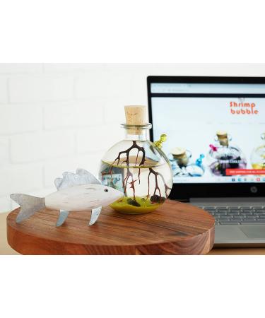 Shrimp Bubble Self-Sustaining Ecosystem in Amber - Eco-Friendly Home Decor - Buy Online on GoSupps.com