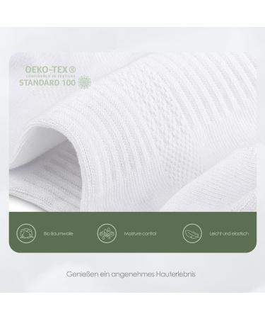 Momoshe 10 Pairs Breathable Sneakers Socks for Men & Women | Cotton Sports & Running Half Socks | Unisex 39-42 | 5 White + 5 Gray - Buy Online on GoSupps.com