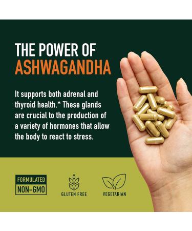 Ashwagandha Supplement 1300mg for Stress Resistance & Energy Boost | High Absorption Adaptogen from Root Powder with Black Pepper | Stress-Related Fatigue Support | Non-GMO | 120ct 2-Month Supply - Buy Online on GoSupps.com