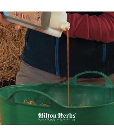 Hilton Herbs Calm and Collected Gold 1 Litre - Buy Online on GoSupps.com