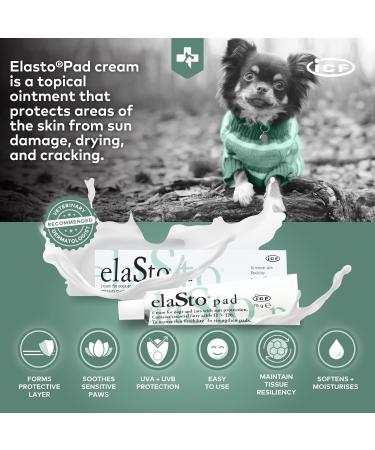 3263 I.C.F. IND.CHIMICA FINE ELASTOPAD POM 75 ml - Buy Online on GoSupps.com