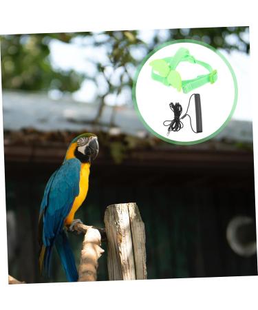 Beavorty 5 Sets Bird Leash Suspend Conure Harness Lizard Outdoor Birds Harness Leash Car Supplies 12X6X1.3CMx5pcs Greenx5pcs - Buy Online on GoSupps.com
