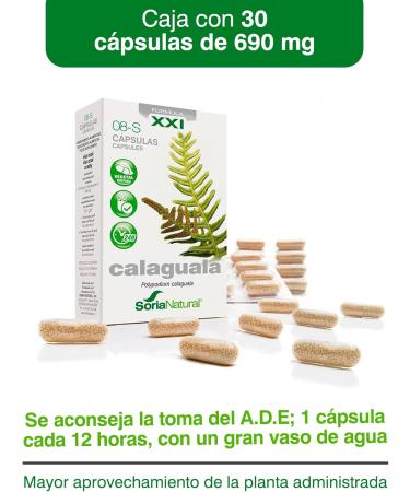 CAPS 08 CALAGUALA XXI 30cap is a dietary supplement in easytoswallow capsules When used consistently it supports normal body functions The package contains 30 capsules Ideal - Buy Online on GoSupps.com