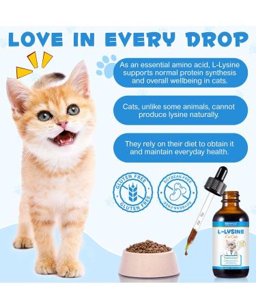 L-lysine Supplement for Cats Cat L-Lysine Liquid Drops for Immune Support Feline Respiratory Sneezing Runny Nose Helps Strengthen Natural Defenses Roast Chicken Flavor 2oz (60mL) - Buy Online on GoSupps.com