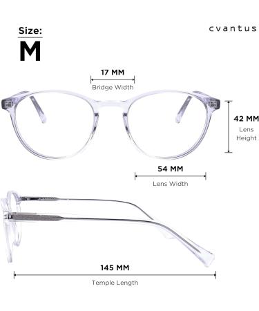 Cantus Blue Light Glasses for Women & Men | Round Design Glare-Free Medium Blue Light Blocking Computer Glasses - Bue-Light Brille Soec 101 C3 - Buy Online on GoSupps.com