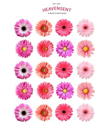 Cake Topper Edible Pre-cut 40 Daisy Pinks Premium Thick Sweet Wafer Card Standing Cupcake Toppers Birthday Party Cake Decorations