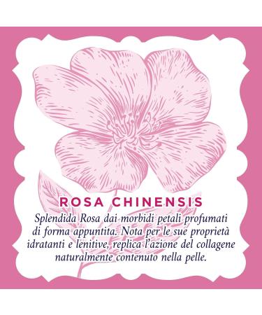  Italian Gourmet E.R. Acqua alle Rose Lenitivo Detergent with Pink Chinensis Extract Ideal for Dry or Sensitive Skin Gently Cleanses and Moisturizes Skin 6 x 200 ml + Italian Gourmet Polpa 400 g - Buy Online on GoSupps.com