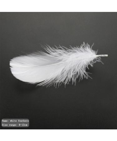 HaiMay 450 White Feathers for Craft Wedding & Party Decor 3-5 inches - Home Decorations - Buy Online on GoSupps.com