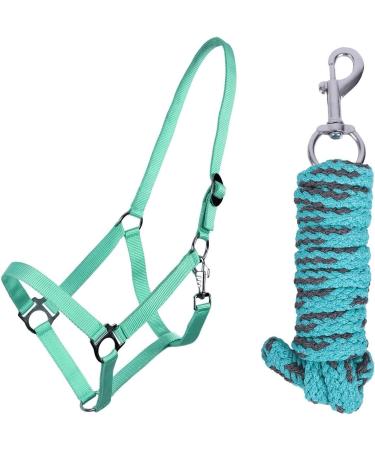 NetProShop Halter & Lead Rope - Turquoise for Mini Shetty to XL Full Size Pony - Buy Online on GoSupps.com