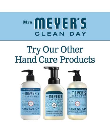 Mrs. MEYER'S CLEANDAY Foaming Hand Soap Rain Water 10 Oz. (Pack of 6) 1.67 Ounce (Pack of 6) - Buy Online on GoSupps.com