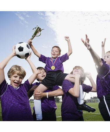 Abaokai 12 Pieces Gold Award Medals-Winner Medals Gold Prizes for Sports  Competitions  Party  Spelling Bees  Olympic Style  2 Inches - Buy Online on GoSupps.com