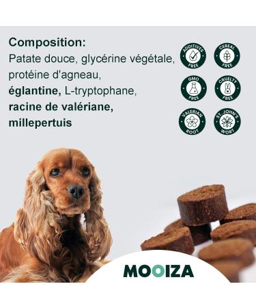 MOOIZA Zen - Dog Tranquilizer - Nutritional Supplement to Help Relax and Calm Dog Anxiety - Anti-Stress for Dogs - Calming for Dogs Zen Biscuits - Buy Online on GoSupps.com