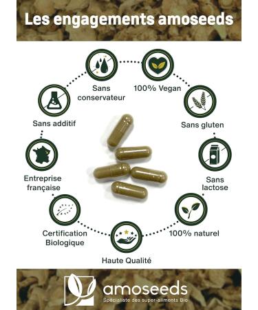 Harpagophytum ORGANIC Extra Strong | 3000mg per day 2.7% Harpagosides | Joints Tendons Mobility | Devil's Claws | 60 Vegan Capsules | Top Quality - Buy Online on GoSupps.com