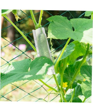 SUPVOX 4pcs Shaped Cucumbers Cucumber Shaping Vegetable Growing Tools Ginseng Fruit Candy - Buy Online on GoSupps.com