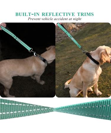 Vivaglory Short Dog Leash | Training Lines for Medium & Large Dogs | 46 cm Green Traffic Leash - Buy Online on GoSupps.com