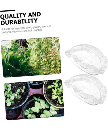 Yardwe 4 Pcs Ingot Shaped Mold Vegetables Pearl Shaping Mold Ingot Design Fruit Growing Molds Accessories - Buy Online on GoSupps.com