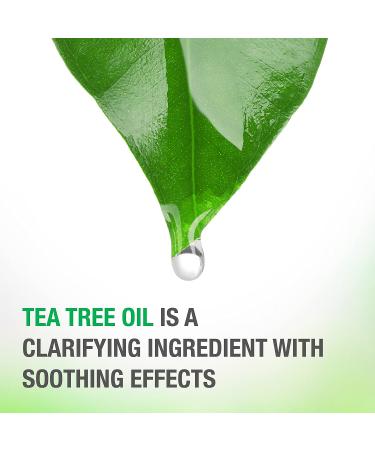 Neutrogena Soothing & Calming Healthy Scalp Shampoo with Tea Tree Oil - 12oz | pH-Balanced, Paraben-Free, Phthalate-Free - Ideal for Dry Scalp & Color-Treated Hair - Buy Online on GoSupps.com