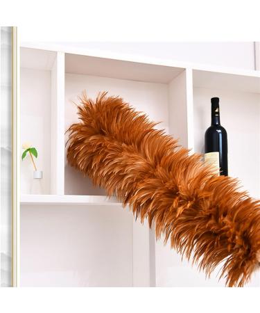 FCSHFC Natural Feather Duster Reusable Dusters for Cleaning with Wooden Handle for Cleaning Ceiling Fans Window Blinds Computer Screens Bookshelves Etc - Buy Online on GoSupps.com